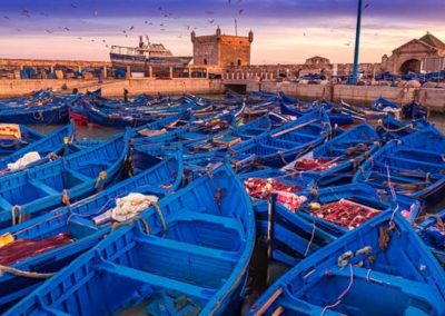 Excursión de 1 día desde Marrakech a Essaouira