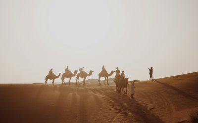 Best Morocco Adventure Tours for Thrill-Seekers