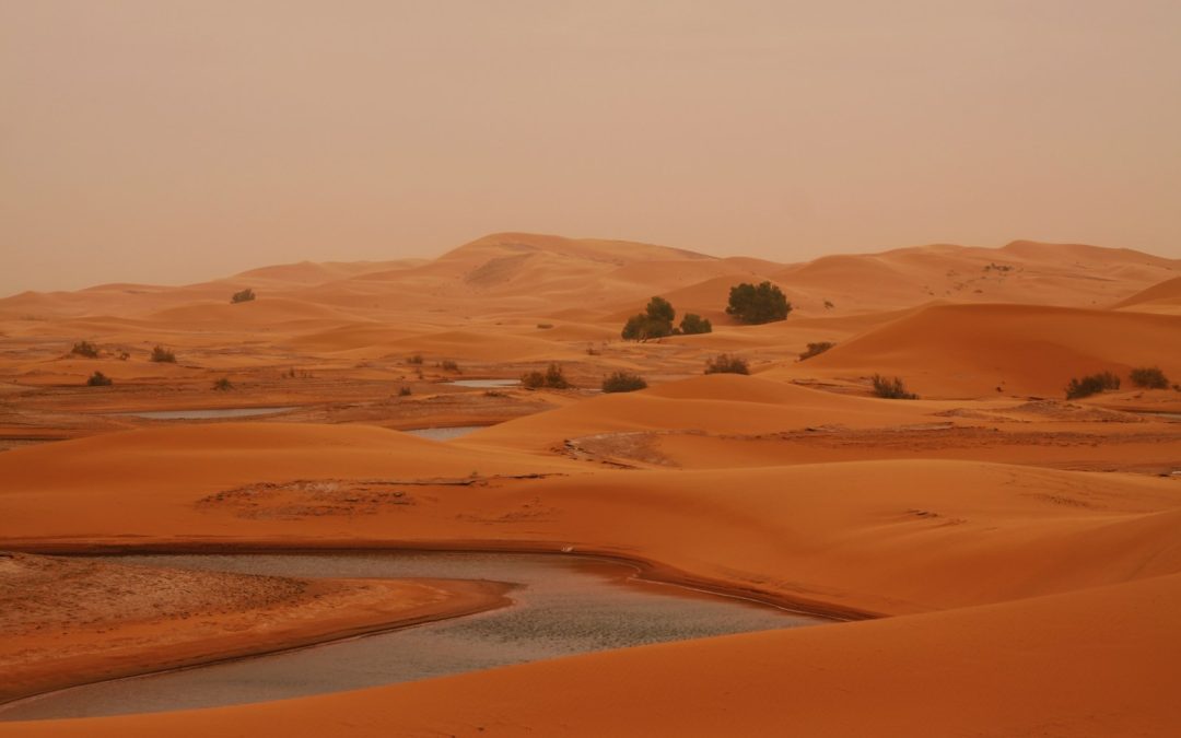 8-Day Imperial Cities & Sahara Luxury Private Tour