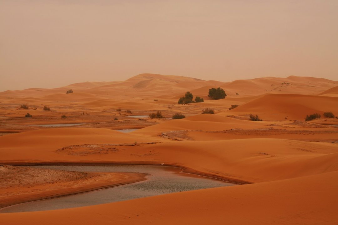 8-Day Imperial Cities & Sahara Luxury Private Tour