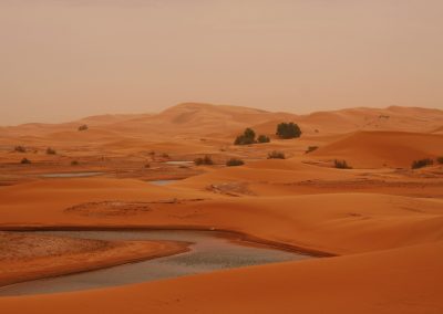 8-Day Imperial Cities & Sahara Luxury Private Tour