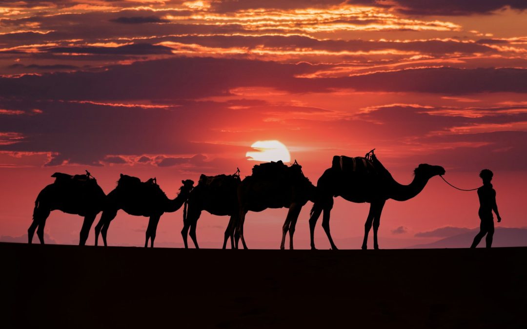 4-Day Private Desert Tour from Marrakech to Fes via Merzouga Erg Chebbi