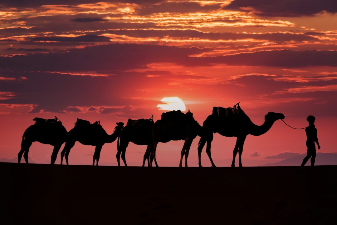 4-Day Private Desert Tour from Marrakech to Fes via Merzouga Erg Chebbi