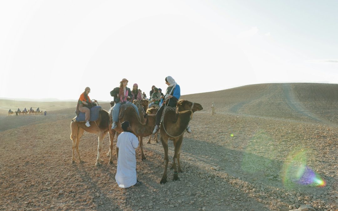 Agafay Desert Day Trip from Marrakech with Quad Biking, Camel Ride & Sunset Dinner Show