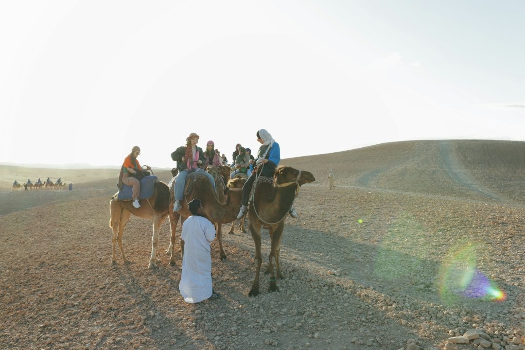 Agafay Desert Day Trip from Marrakech with Quad Biking, Camel Ride & Sunset Dinner Show